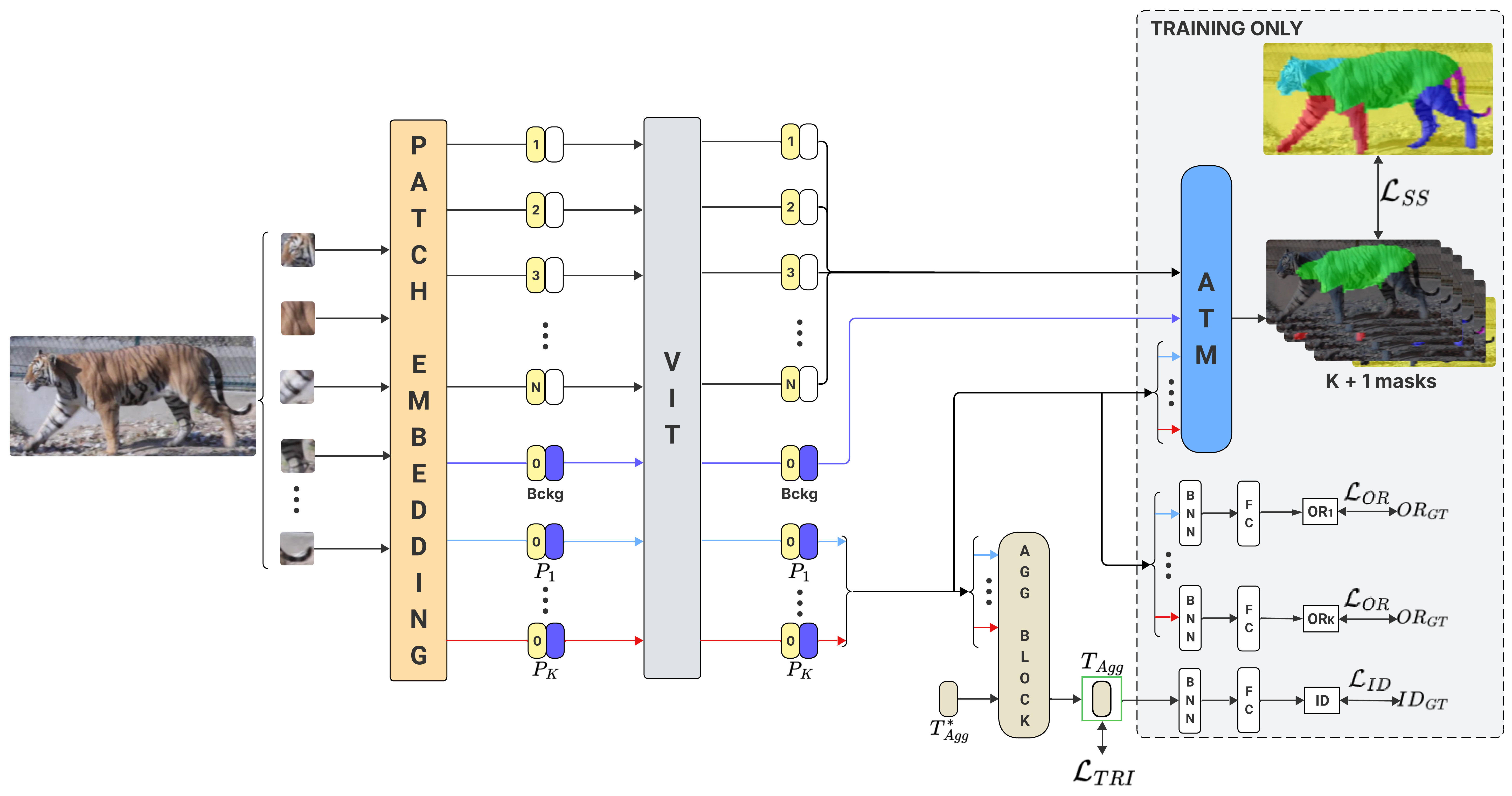 Deep architectures for vision tasks