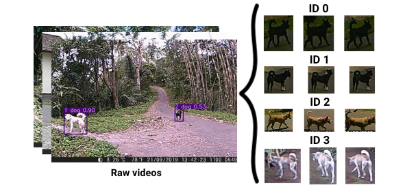 Generalizable re-identification