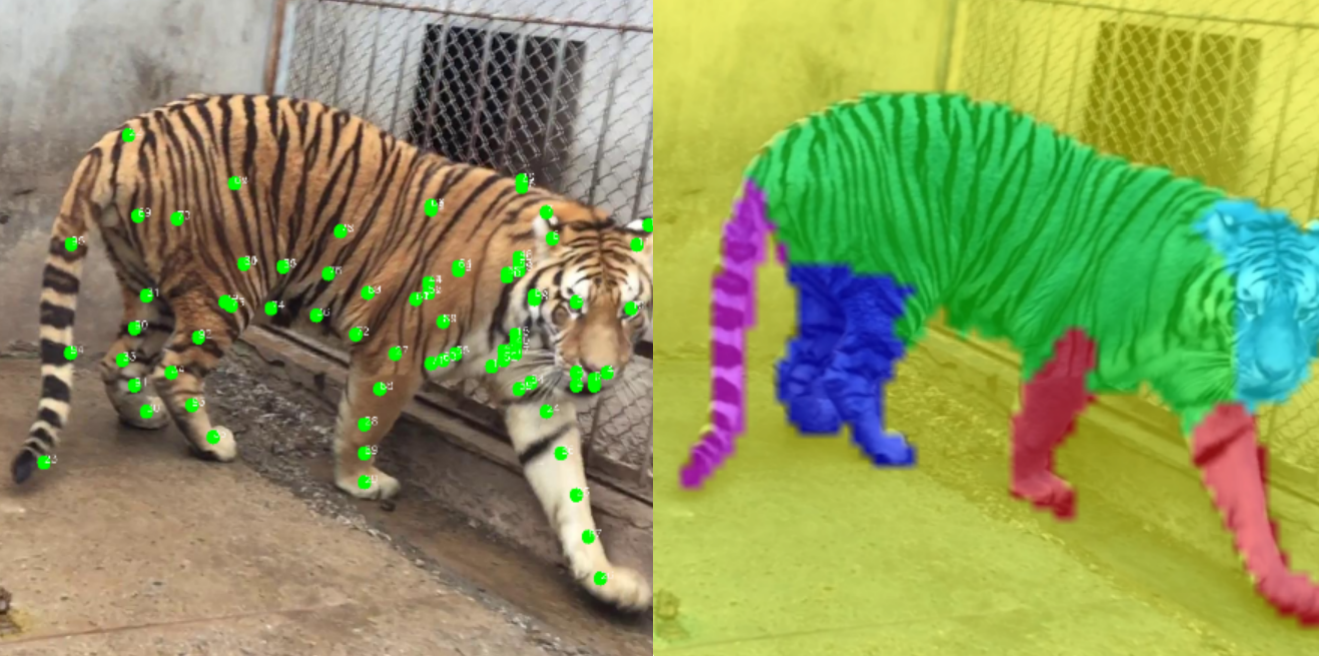 Semantic segmentation
