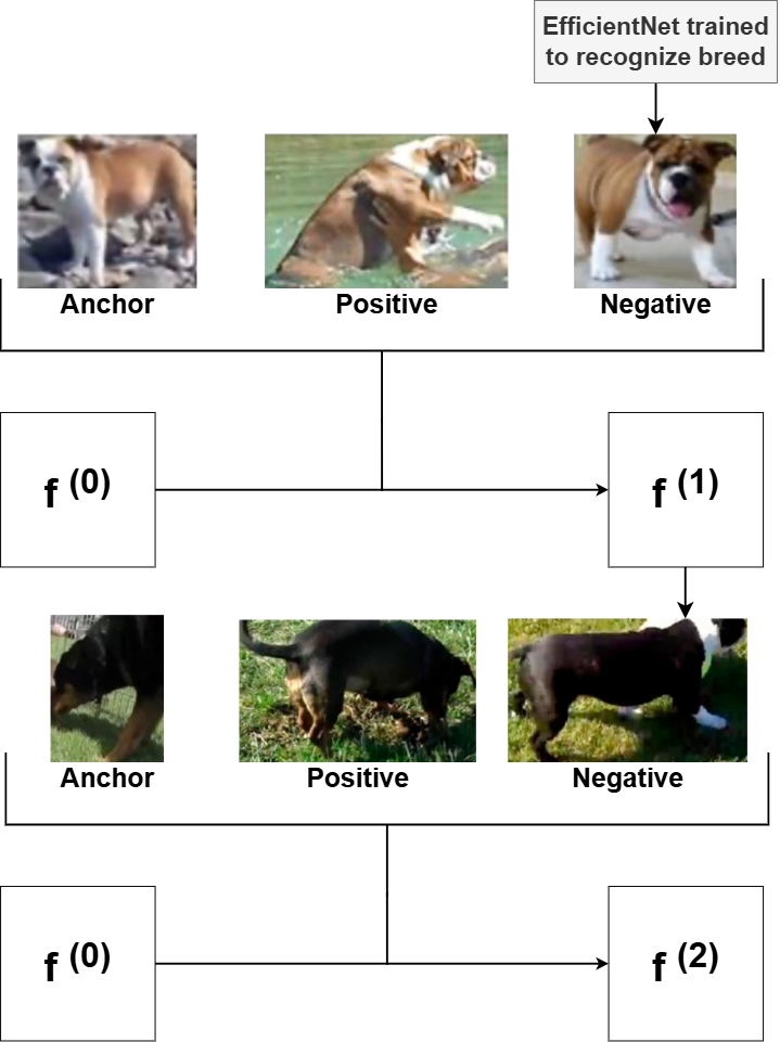 Background-invariant re-identification of dogs from camera-trap videos in non-controlled environments