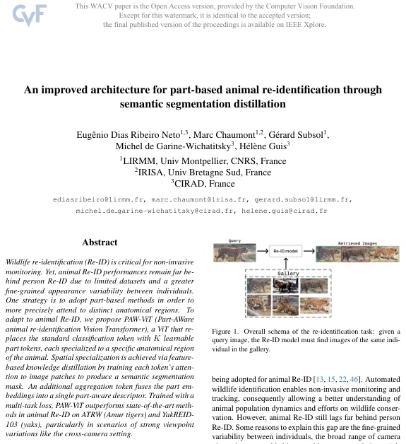 Our paper 'An improved architecture for part-based animal re-identification through semantic segmentation distillation' was accepted at the IEEE/CVF WACV 2026 in november 2025. The image shows the first page of the paper.