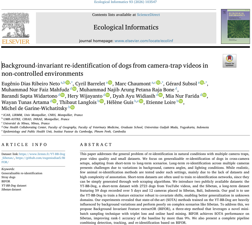 Our paper 'Background-invariant re-identification of dogs from camera-trap videos in non-controlled environments' was published at the journal Ecological Informatics in december 2025. The image shows the first page of the paper.